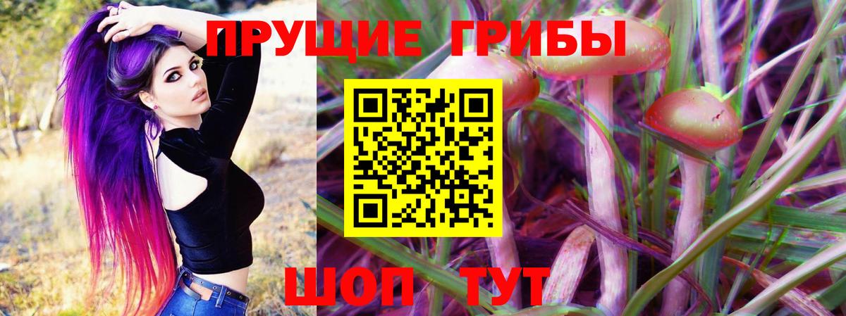 Артёмовский  Галлюциногенные грибы Psilocybe  Вход с VPN 